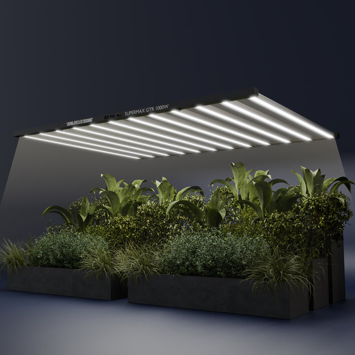 MJ3 LED GTR 1000W